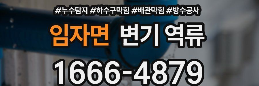 임자면 변기 역류