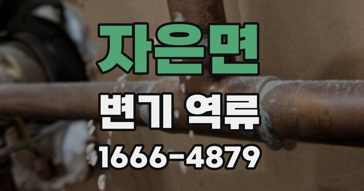 자은면 변기 역류