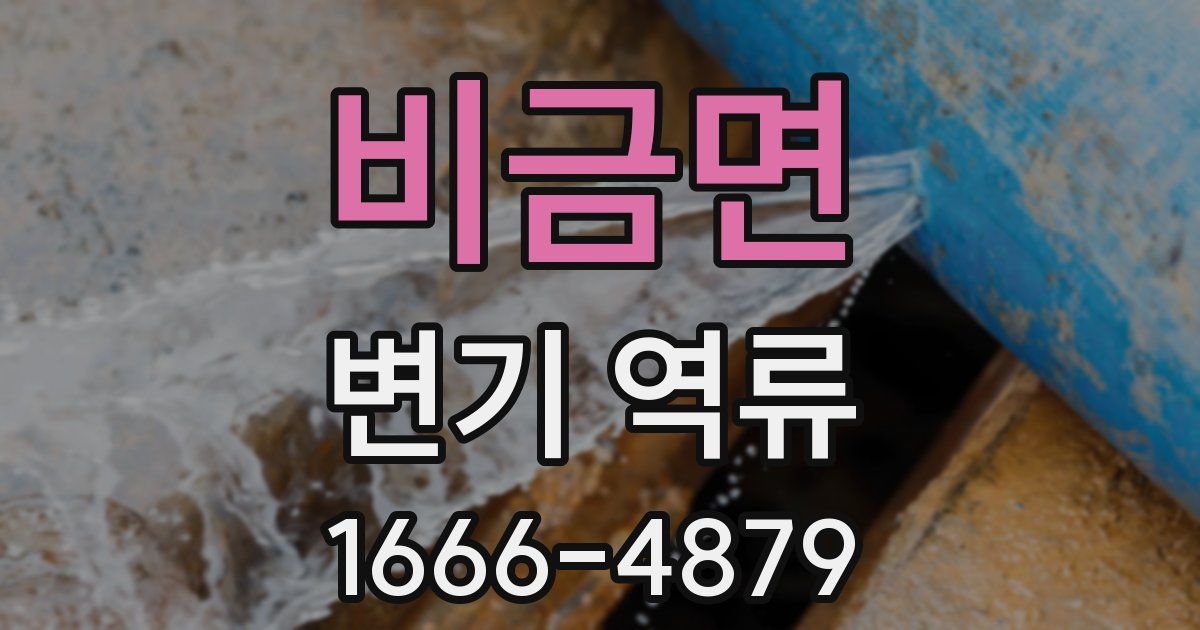 비금면 변기 역류