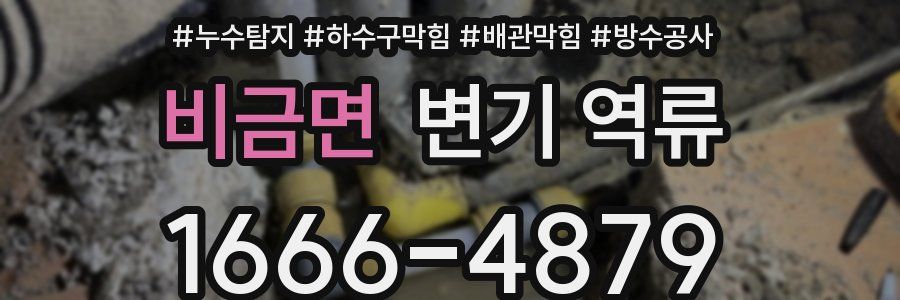비금면 변기 역류