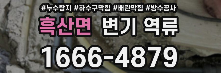 흑산면 변기 역류