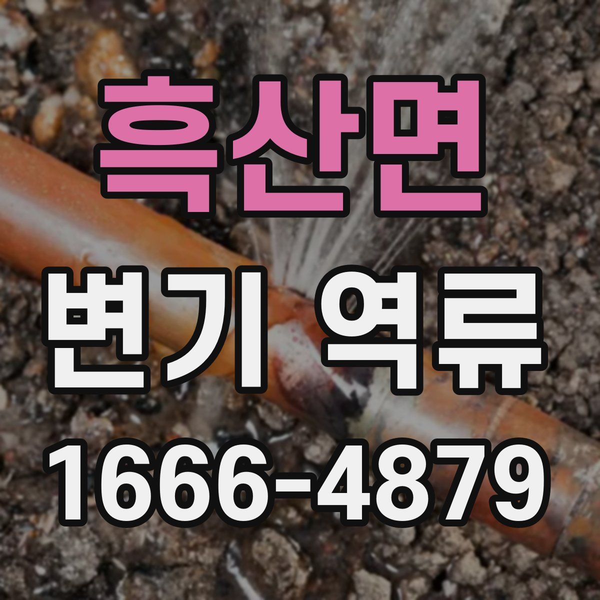흑산면 변기 역류