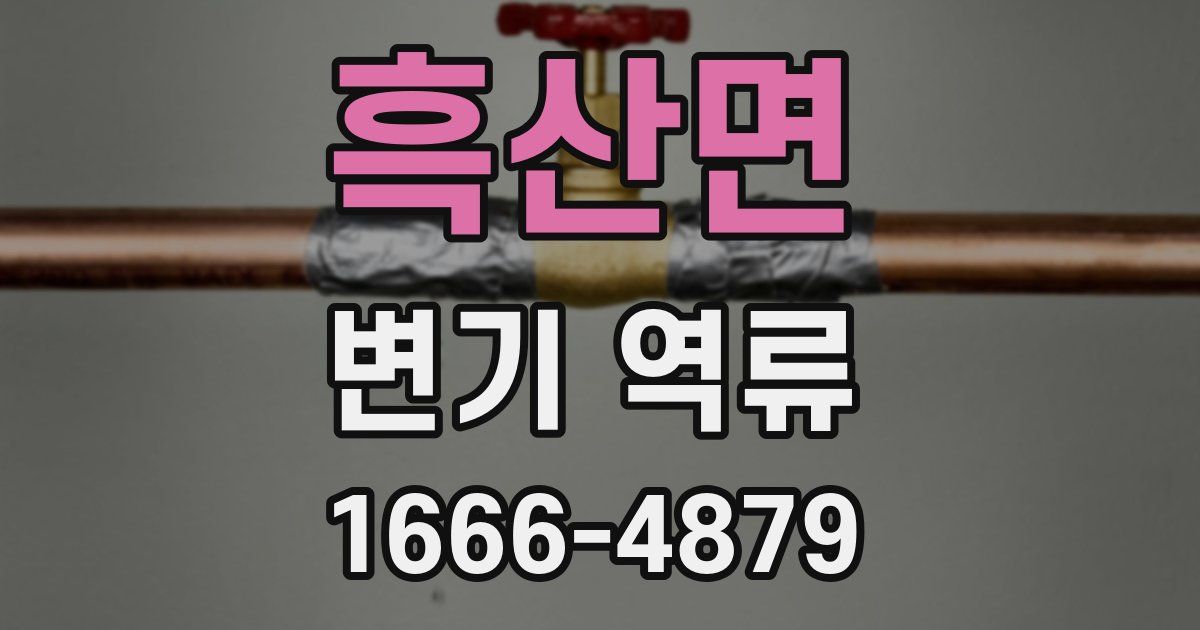 흑산면 변기 역류