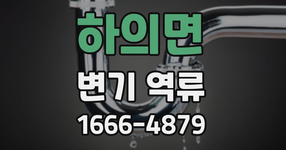 하의면 변기 역류