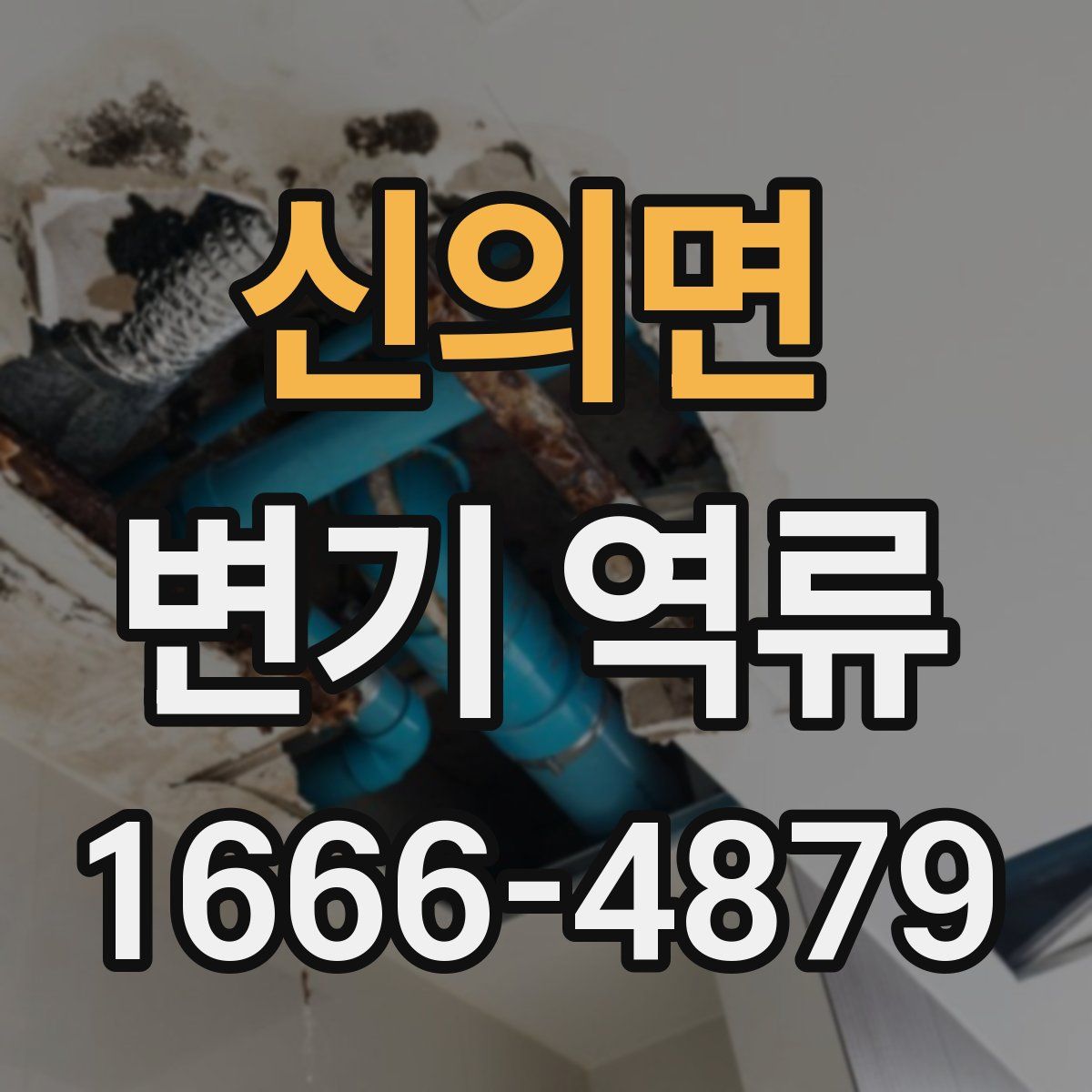 신의면 변기 역류