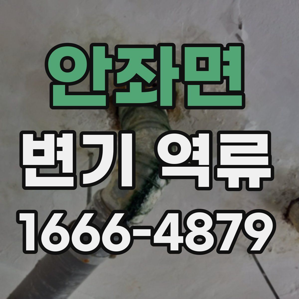 안좌면 변기 역류