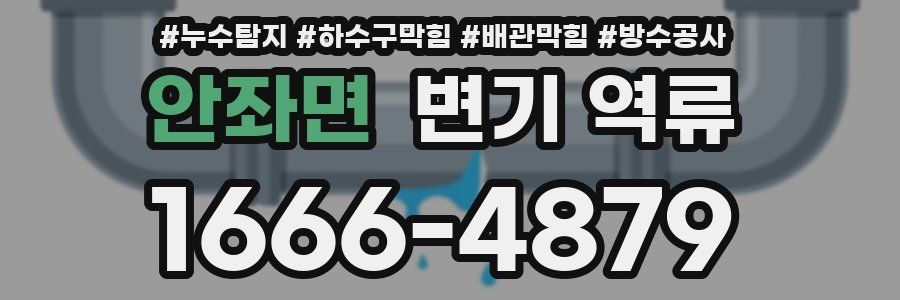 안좌면 변기 역류