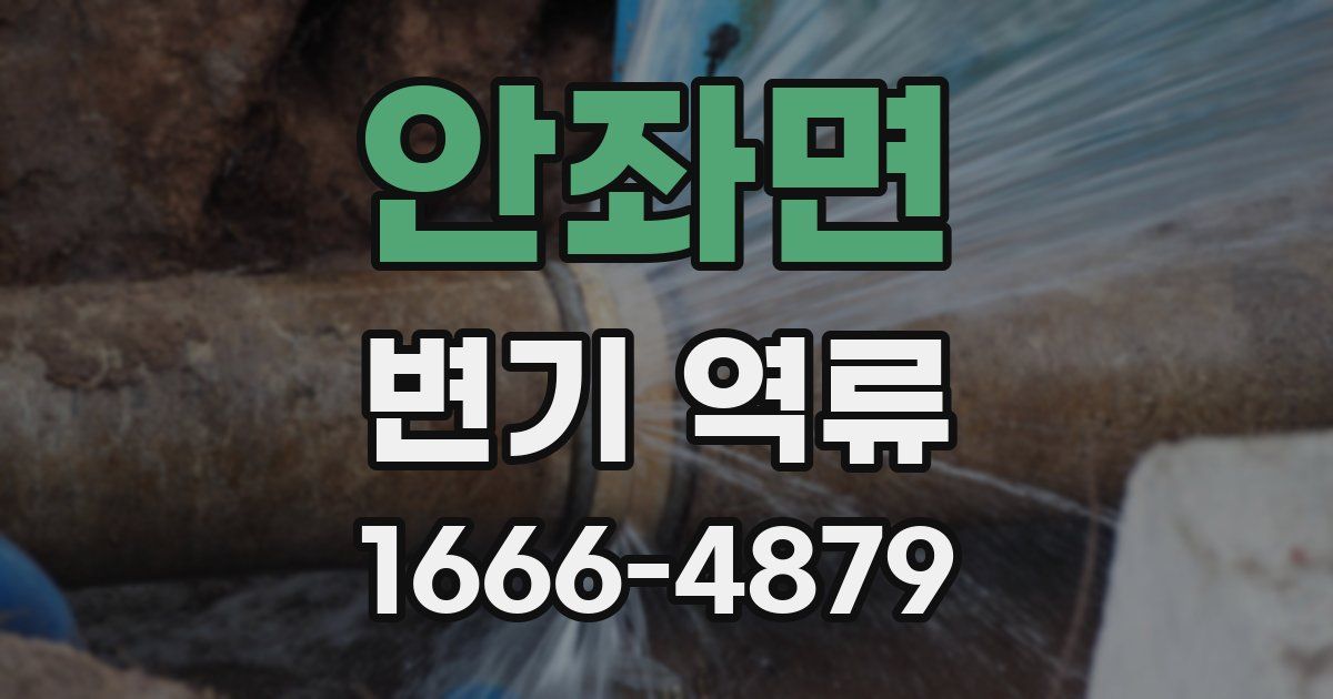 안좌면 변기 역류