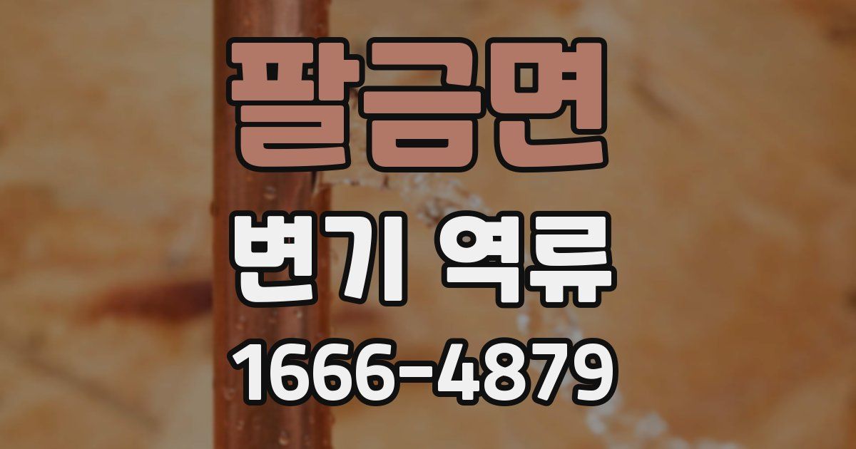 팔금면 변기 역류