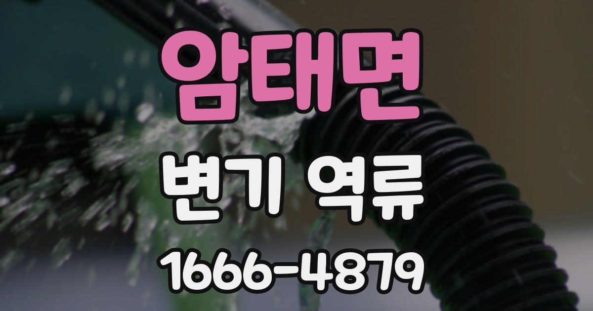 암태면 변기 역류