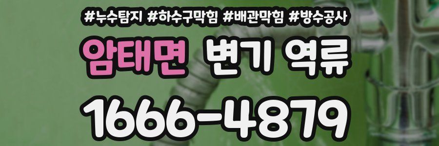 암태면 변기 역류