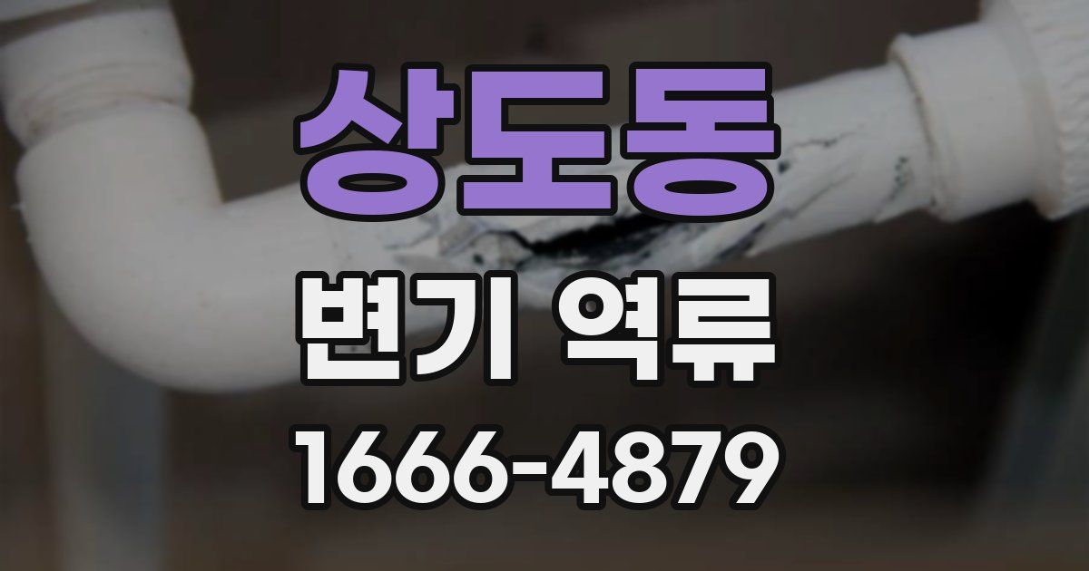 상도동 변기 역류