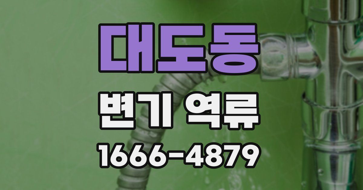 대도동 변기 역류