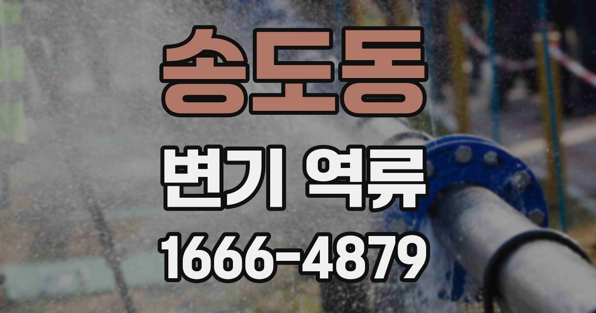 송도동 변기 역류