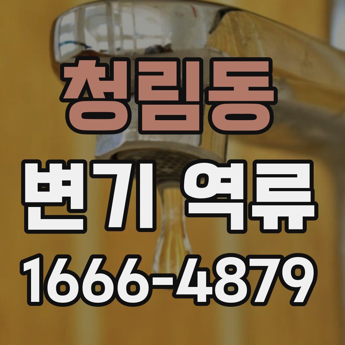 청림동 변기 역류