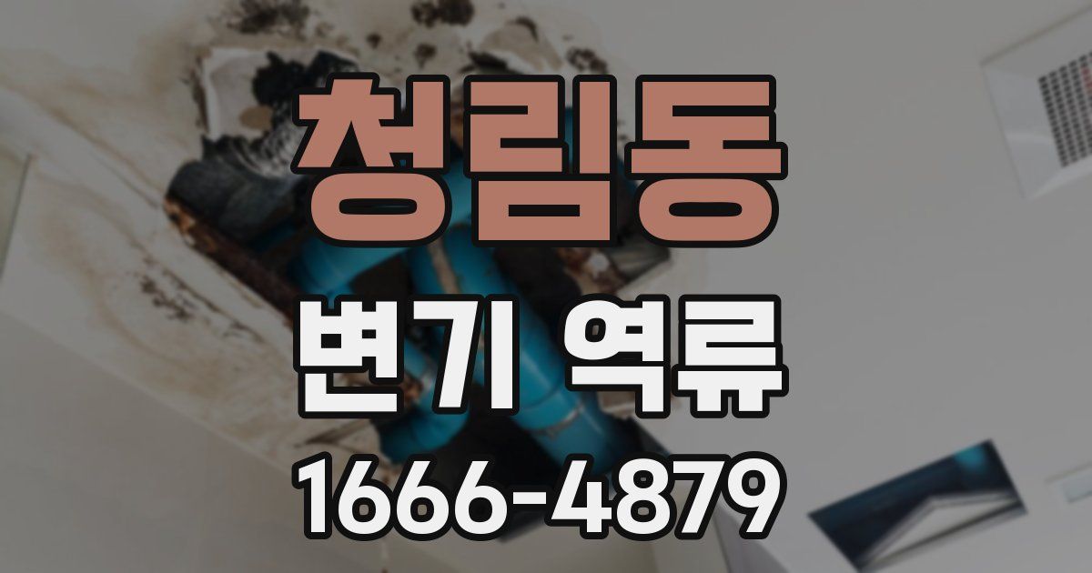 청림동 변기 역류