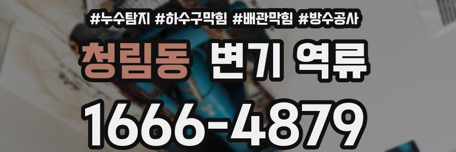청림동 변기 역류