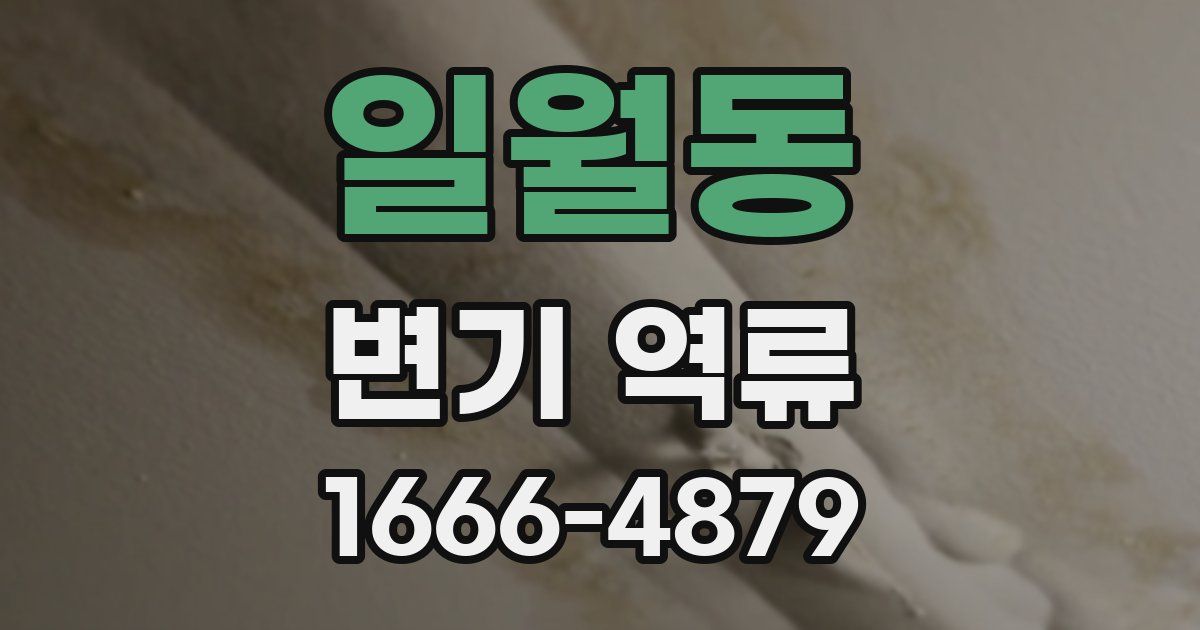 일월동 변기 역류