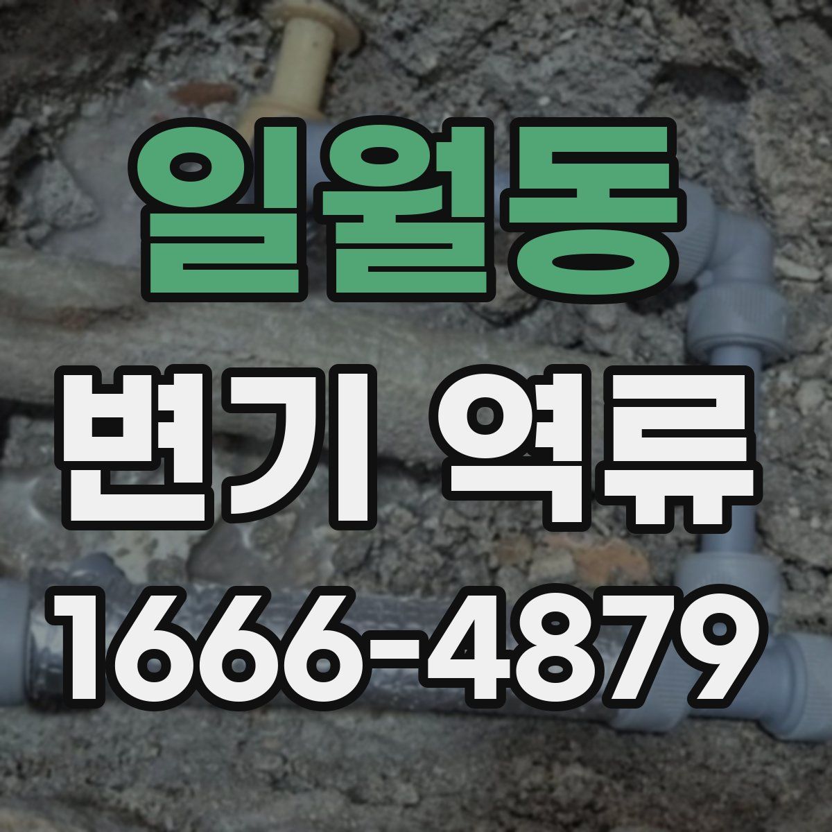 일월동 변기 역류