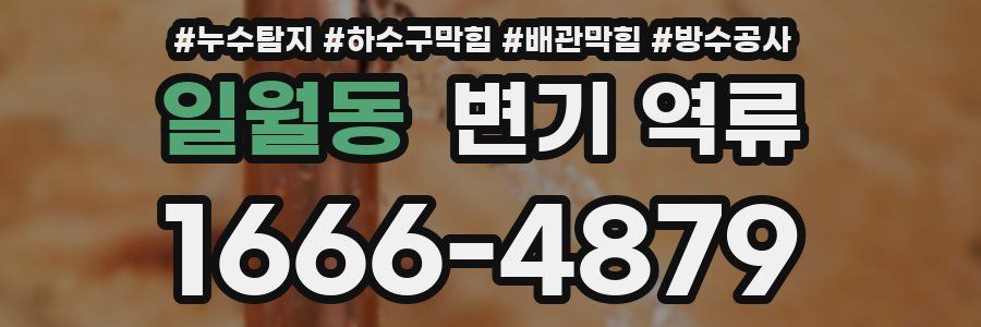 일월동 변기 역류