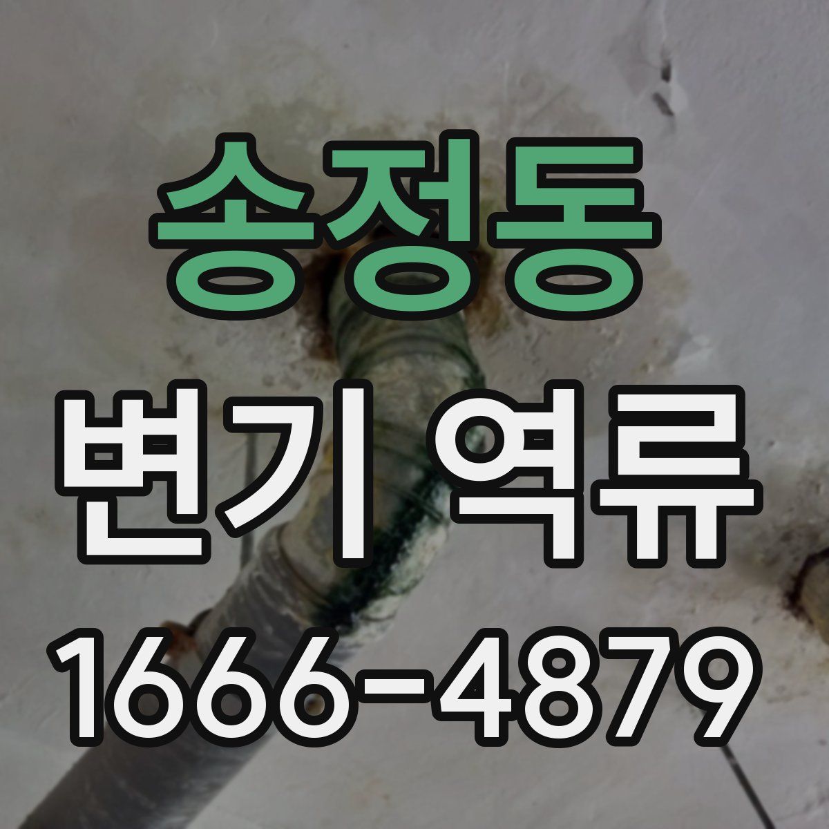 송정동 변기 역류