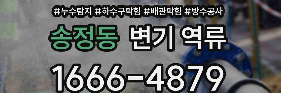 송정동 변기 역류