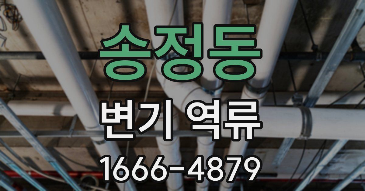 송정동 변기 역류