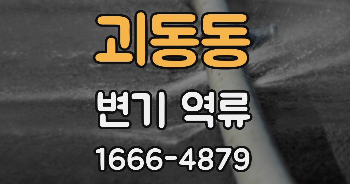 괴동동 변기 역류