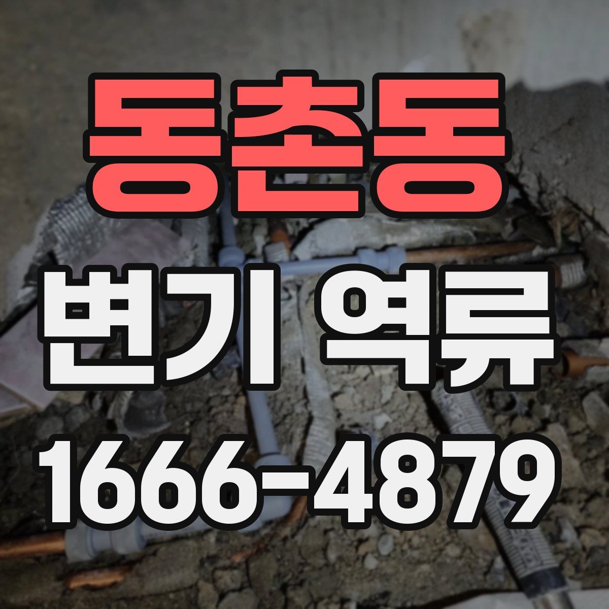 동촌동 변기 역류