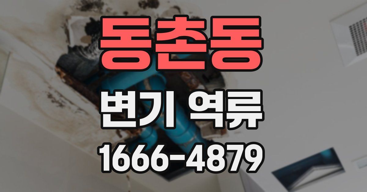 동촌동 변기 역류