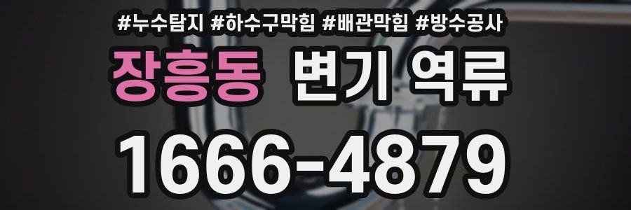 장흥동 변기 역류