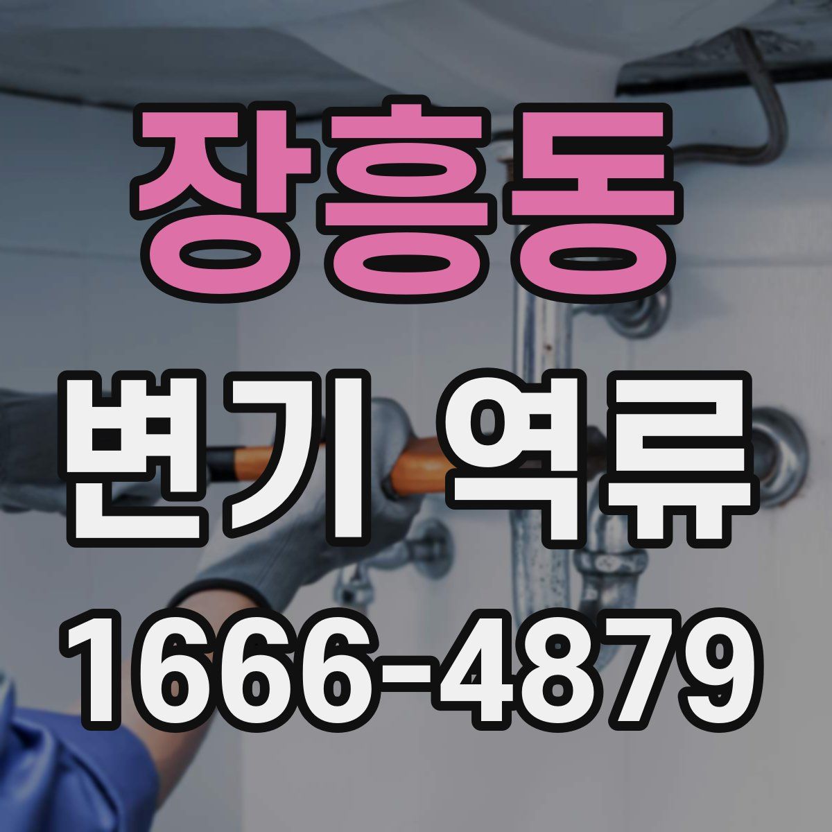 장흥동 변기 역류