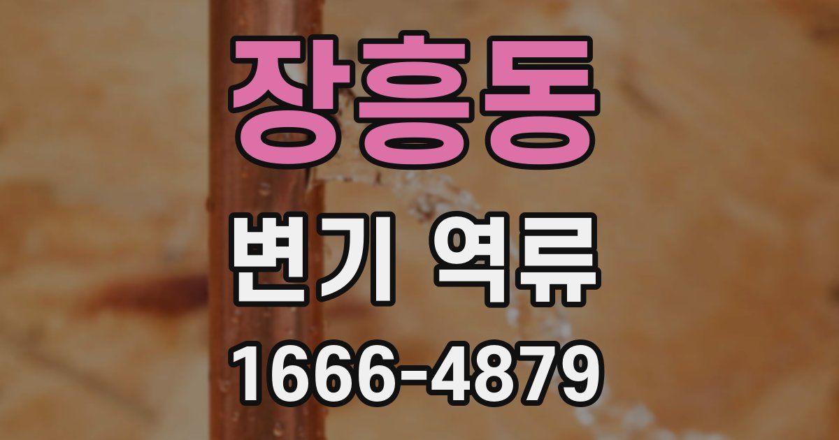 장흥동 변기 역류