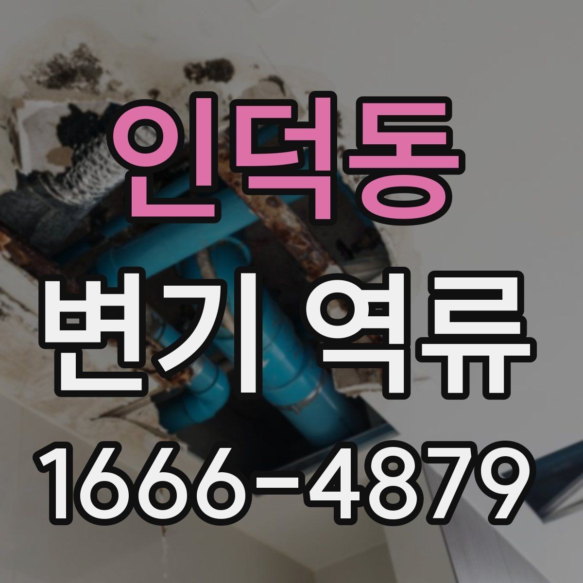 인덕동 변기 역류 수리 전에 알아두면 좋은 점