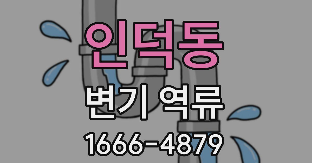 인덕동 변기 역류