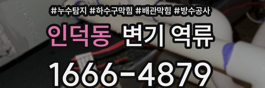 인덕동 변기 역류