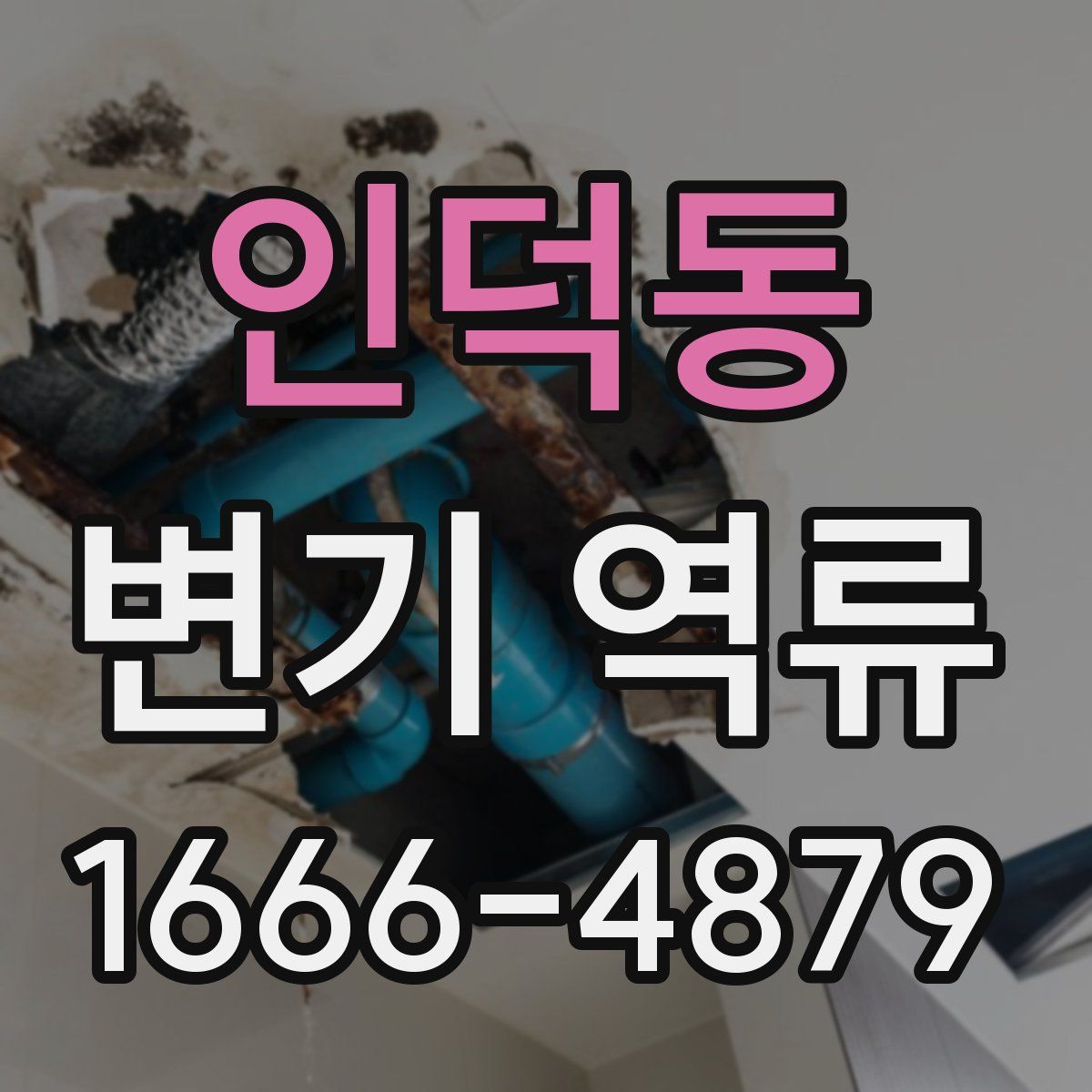 인덕동 변기 역류