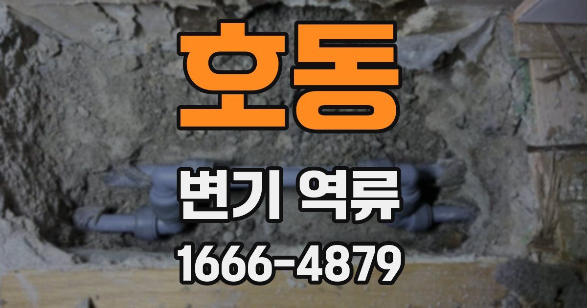 호동 변기 역류
