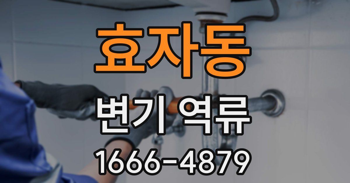 효자동 변기 역류