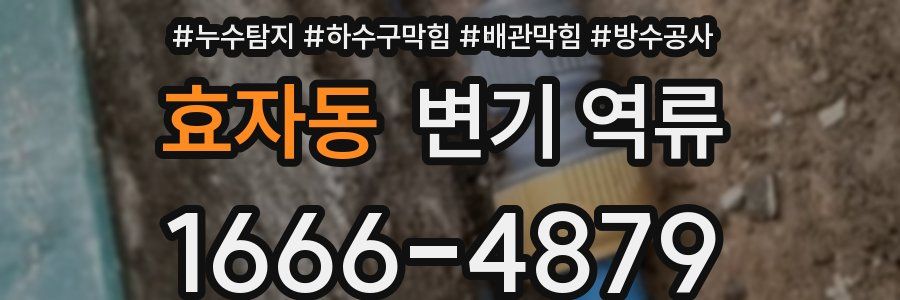 효자동 변기 역류