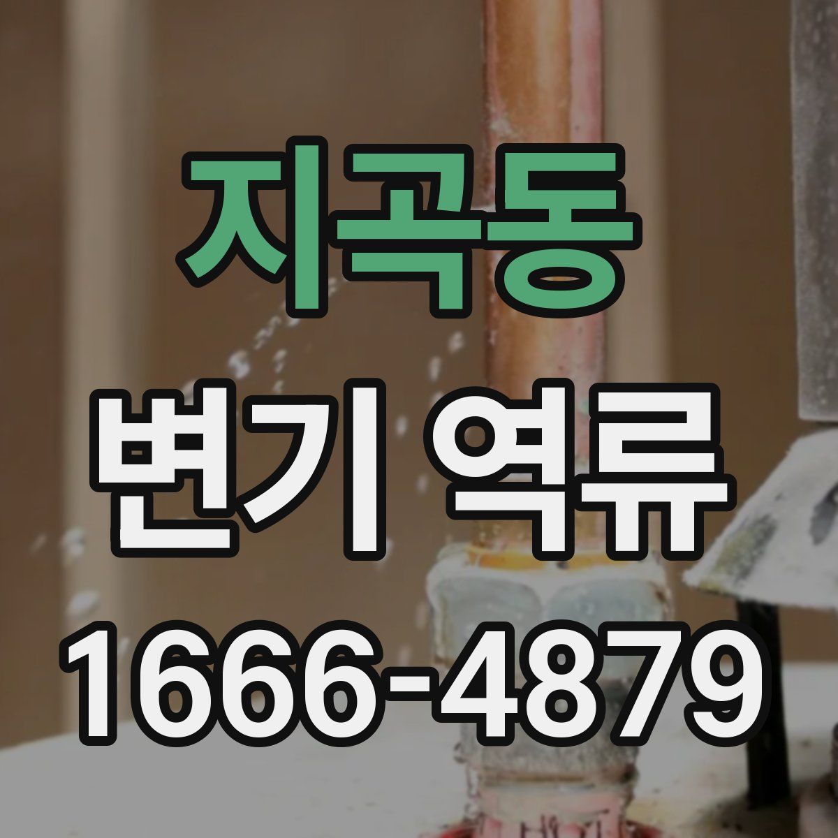 지곡동 변기 역류