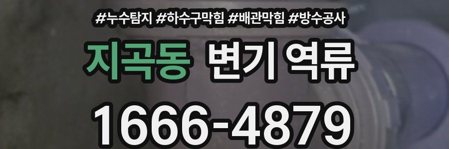 지곡동 변기 역류