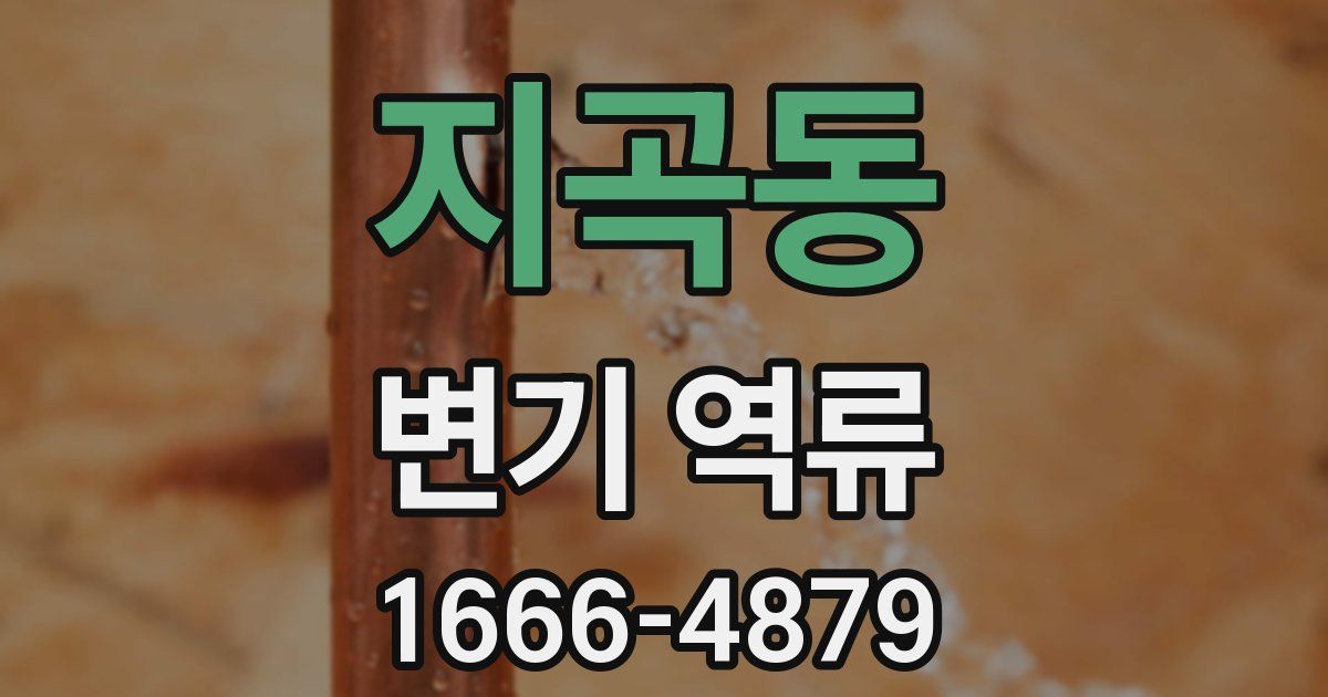 지곡동 변기 역류