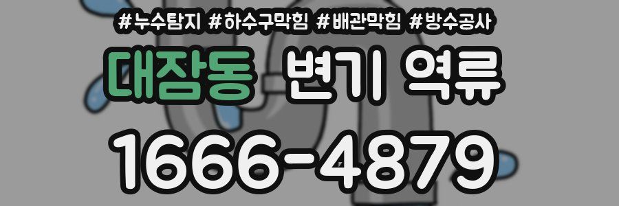 대잠동 변기 역류