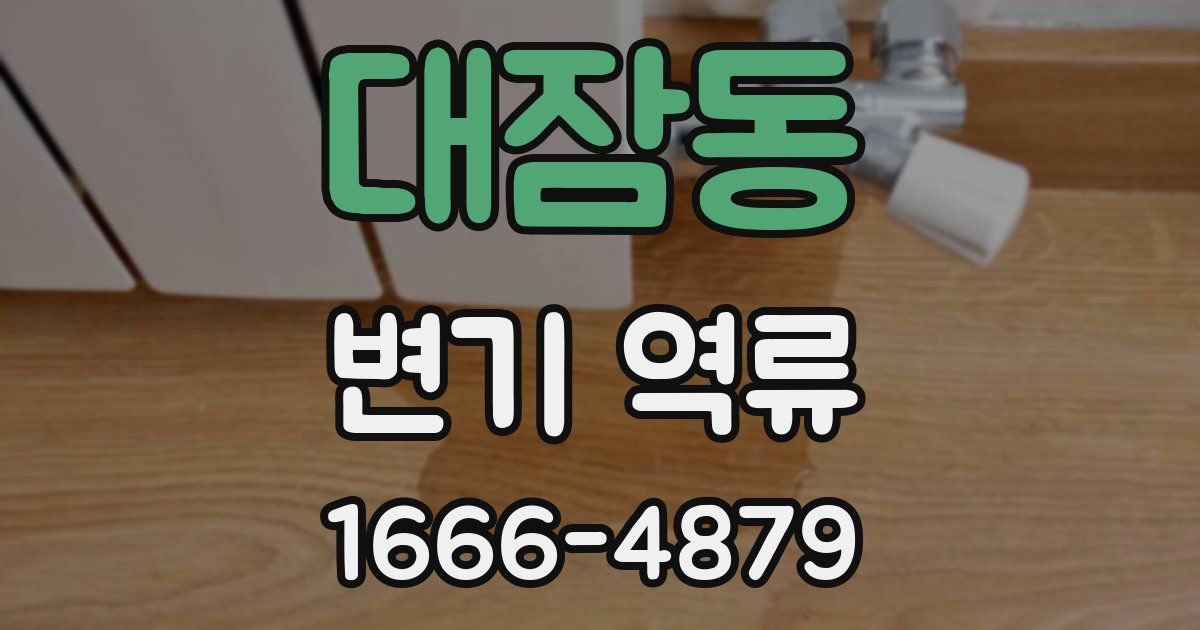 대잠동 변기 역류