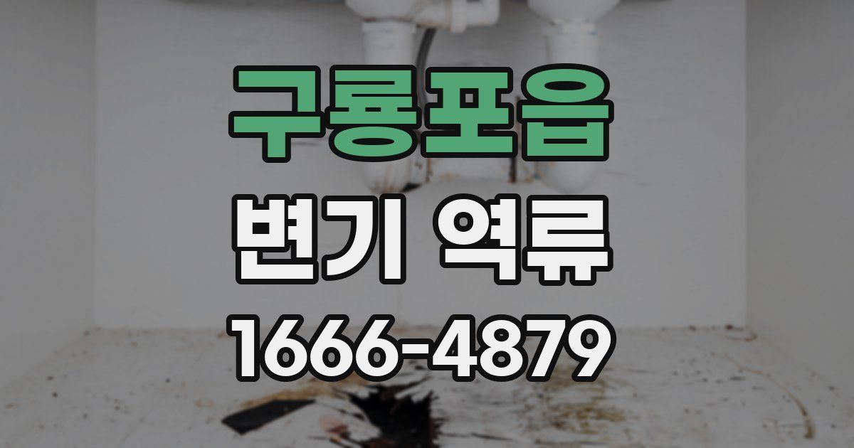 구룡포읍 변기 역류