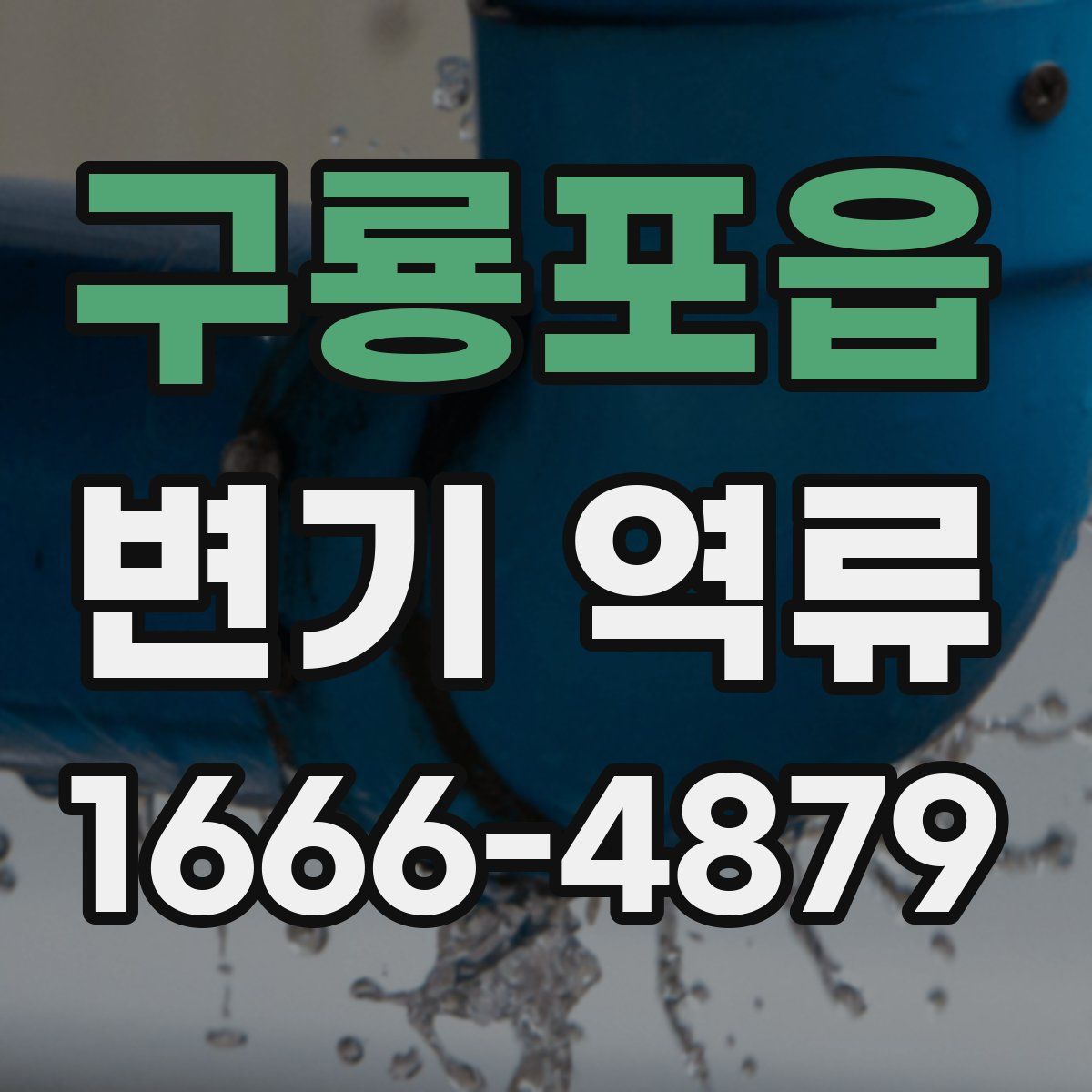 구룡포읍 변기 역류