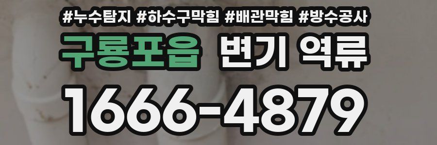 구룡포읍 변기 역류