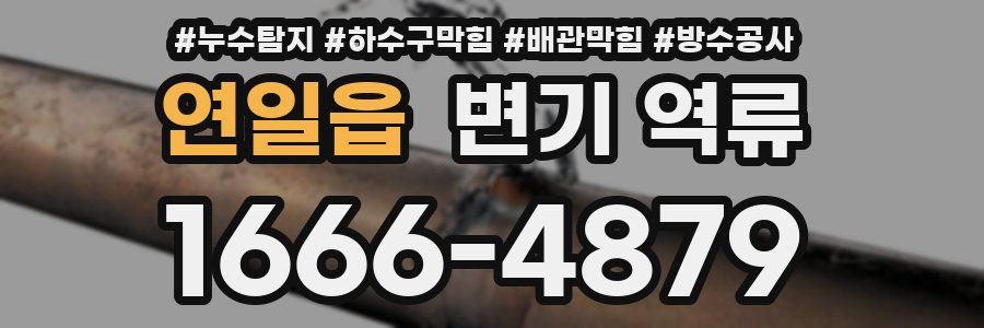 연일읍 변기 역류