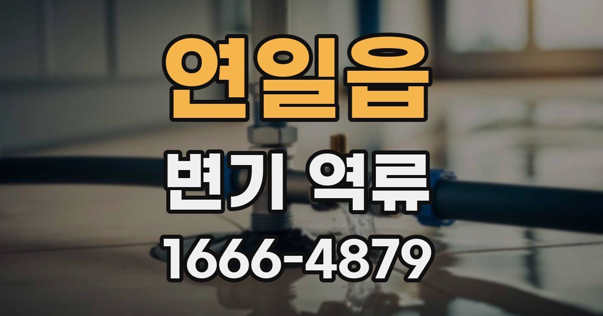 연일읍 변기 역류